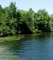 Cloverleaf Lake Map Alger County Michigan Fishing