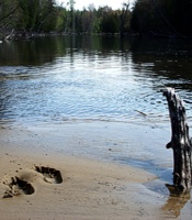 Legion Lake Alger County Michigan Fishing