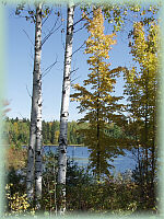 Trappers Lake Alger County Michigan Fishing