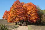 fall color  County Michigan