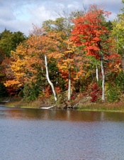 Craig Lake baraga County Michigan