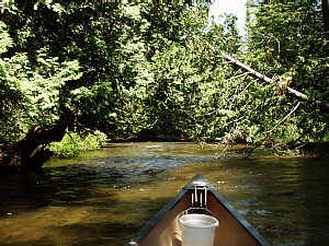 The Sturgeon River, Michigan