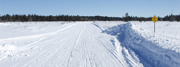 looking east
Maxton Plains, Drummond Island, &copy;DMG
