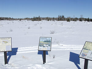 Maxton Plains, Drummond Island
&copy;DMG