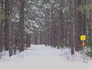 Snowmobile snowmobile trail 7 Trailhead parking Harrision,  Leota Michigan Snowmobiling