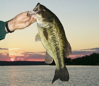 Bass Lake Map Dickinson County Michigan Fishing