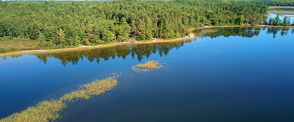 French Farm Lake, Emmet County Michigan