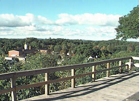 The Lookout