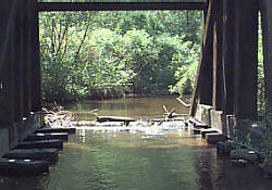 Under Bridge