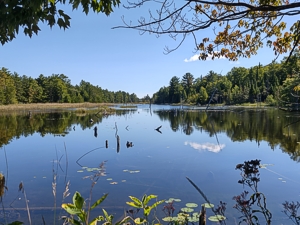 O'Neal Lake Access