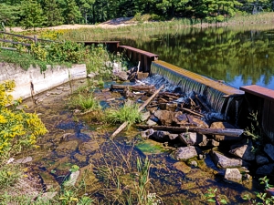 O'Neal Lake Access