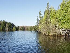  Lindsley Lake, Morley Lake Channel
Watersmeet Michigan, &copy; DMG