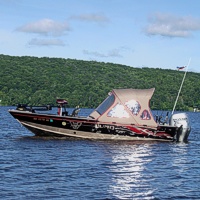 Lake Gobebic Sandhill Crain