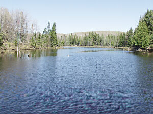 North Channel, Thousand Island Lake
Watersmeet Michigan, &copy; DMG