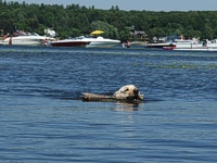 Grand Traverse County Michigan Boating