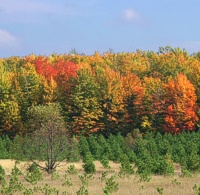 Gratiot County Michigan