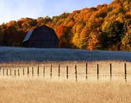 Leelanau County Michigan Fall Color