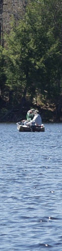 Loon, Camp 8 Lake