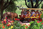 Vacations Made Easy, Mackinac Island Michigan 