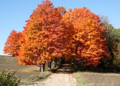 Manistee County Michigan fall color