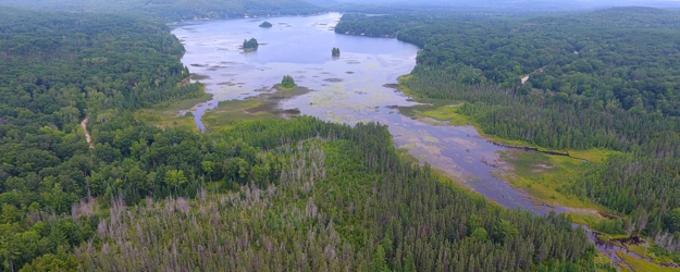 Avery lake Montmorency County Michigan