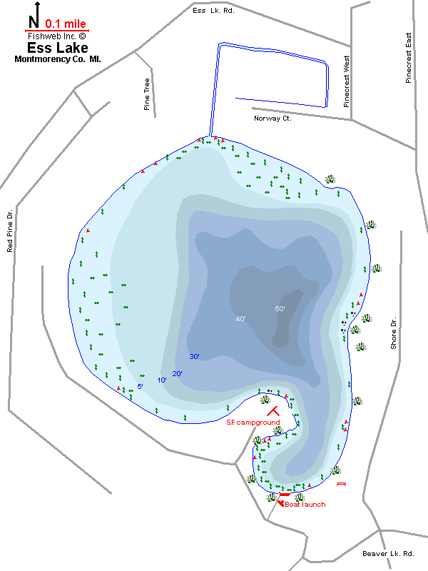 ocean dg form example