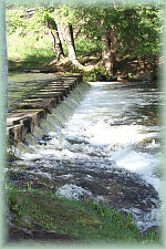 Bond Falls
DMG �