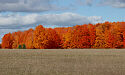 Cooks Michigan &copy;DMG