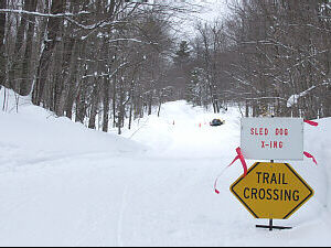 Trail 888 and 8A intersection
Grand Marais Snowmobile Trail, &copy;DMG