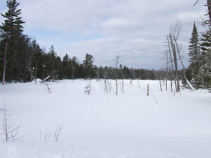 Trail 888 and 8A intersection
Grand Marais Snowmobile Trail, &copy;DMG