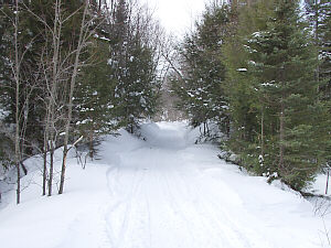Trail 888 and 8A intersection
Grand Marais Snowmobile Trail, &copy;DMG
