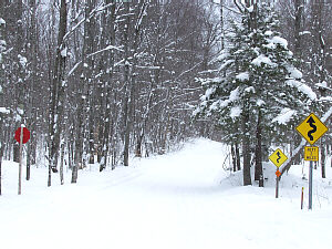 Trail 8 & 443
&copy;DMG