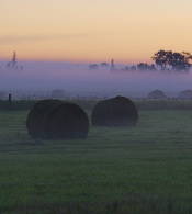 Van Buren County Michigan