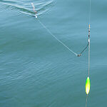 http://www.fishweb.com/recreation/fishing/fishfacts/downrigging/photos/bottom_1b.jpg