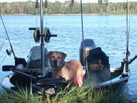 Michigan Fishing