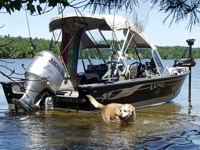 Michigan Walleye Fishing