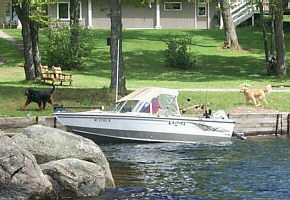 castmaster fishing game castmaster fishing game