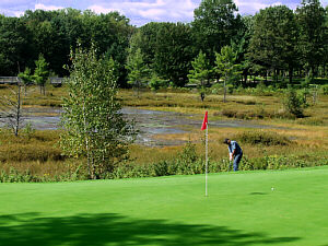 The Natural
 Golf Course
18th green