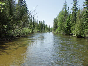 Jordan River - Old Bridge Antrim County Canoeing kayaking ...