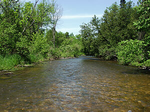 Sturgeon River Flow Chart