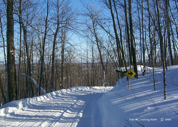 Michigan Snowmobiling Big Bay Clowry Snowmobile Trail Map Michigan