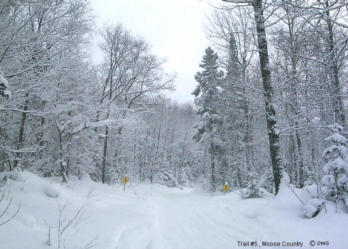 Michigan Snowmobiling Big Bay Clowry Snowmobile Trail Map Michigan