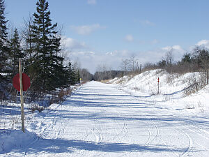 Snowmobile Trail 9 - 99,  Millersburg Michigan Snowmobiling