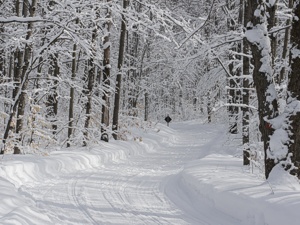 snowmobile trail 99 - 990 north Onaway Michigan snowmobiling
