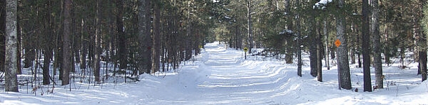 snowmobile trail 99 - 990 north Onaway Michigan snowmobiling