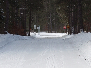 snowmobile trail 99 M-68 staging area Presque Isle Michigan snowmobiling